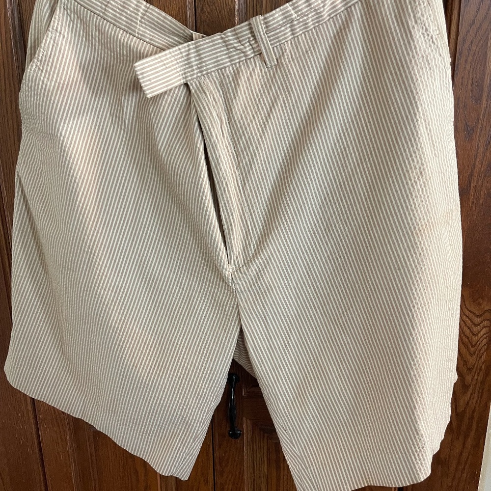 Mens Big and Tall Seersucker Shorts